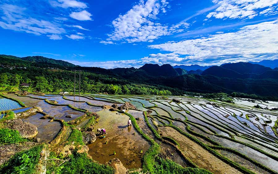 hiking in sapa